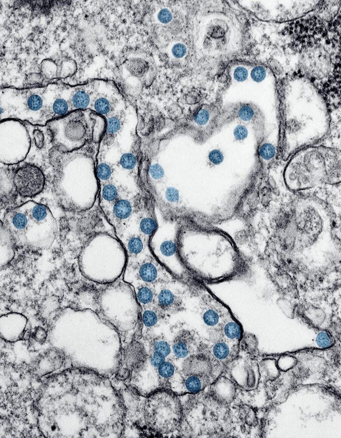Microscopic abstract representation of healthy cell interaction